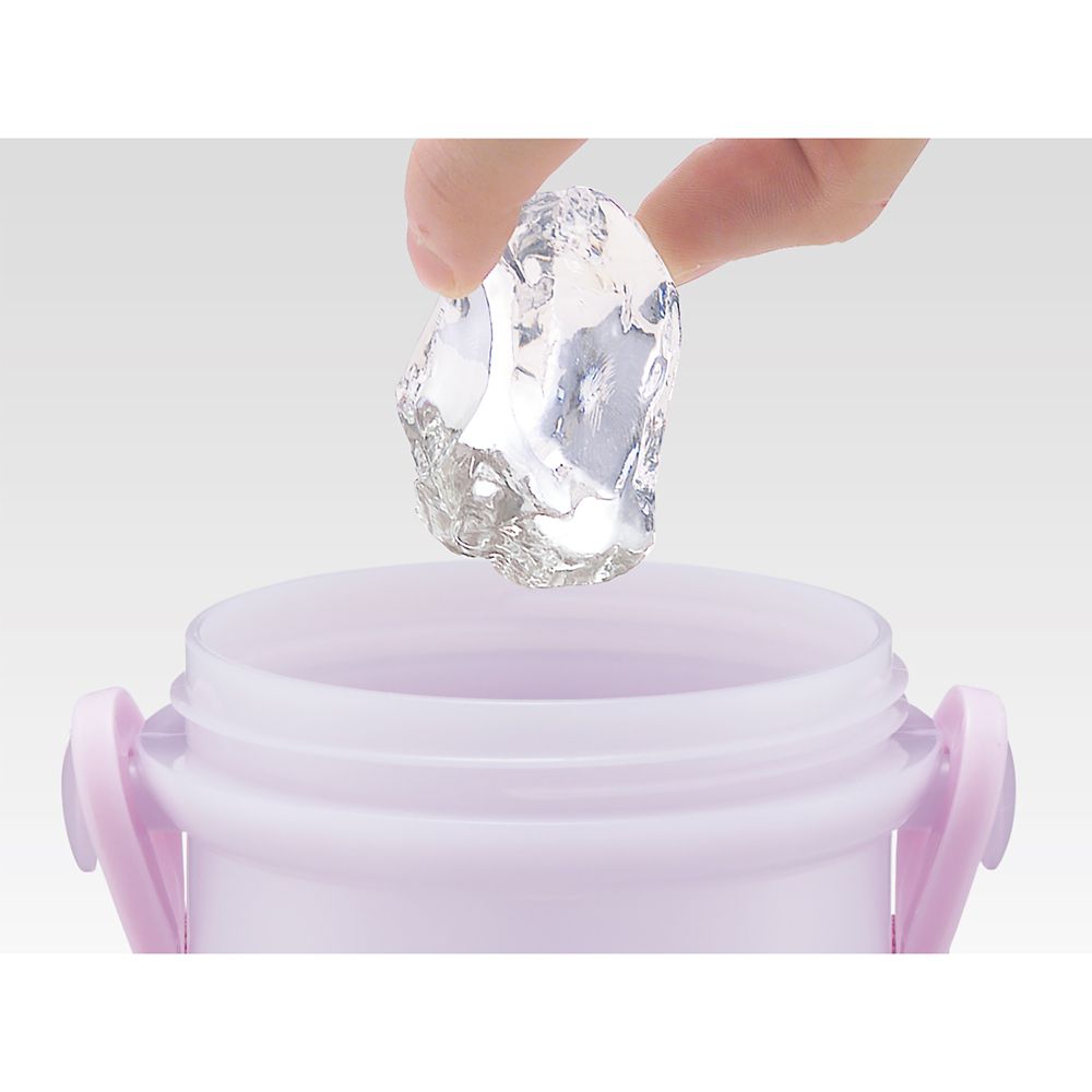 スケーター　抗菌直飲プラボトル  プリンセス２４／PSB5SANAG_659898