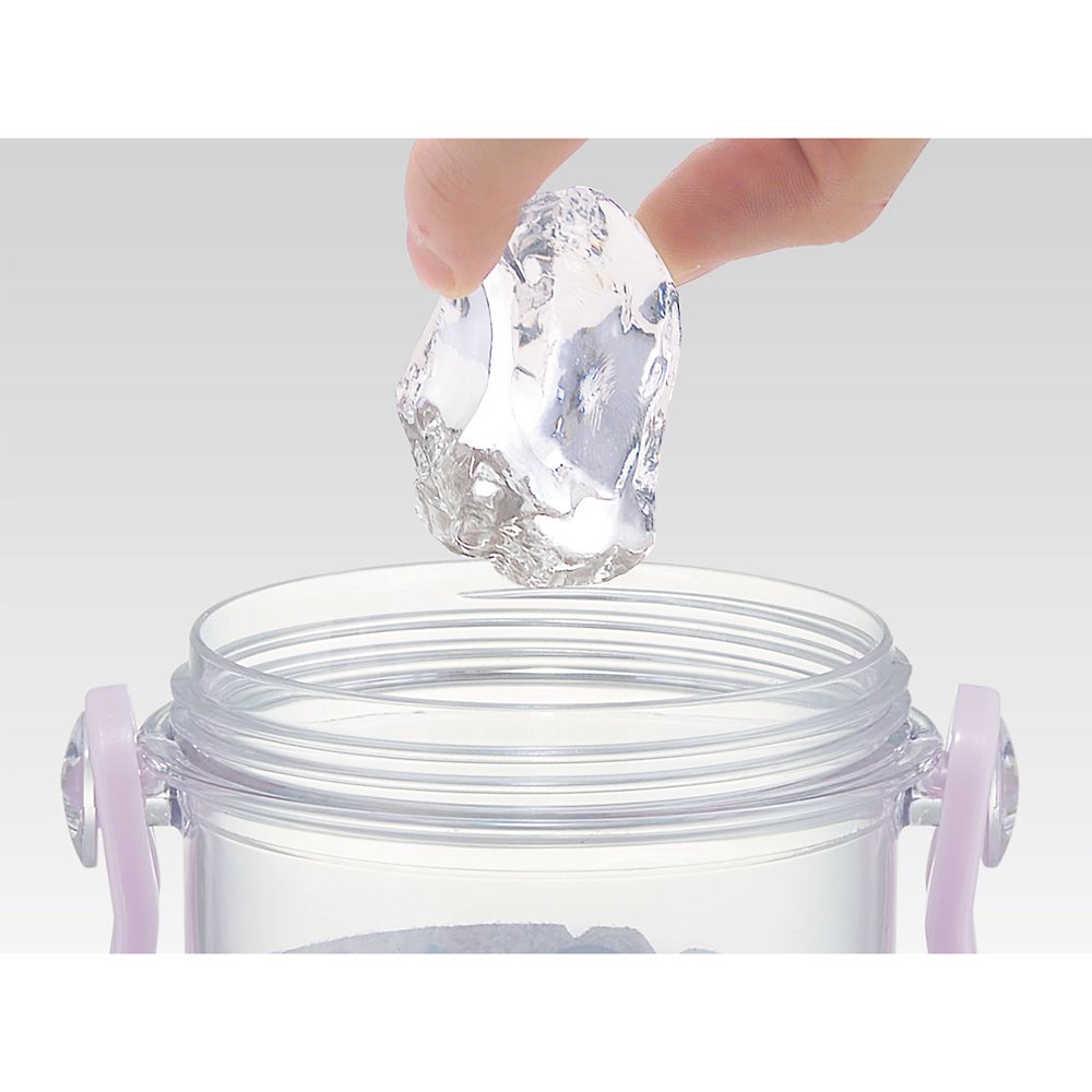 スケーター　食洗機対応プラクリアボトル  プリンセス２４／PSB5TR_659904