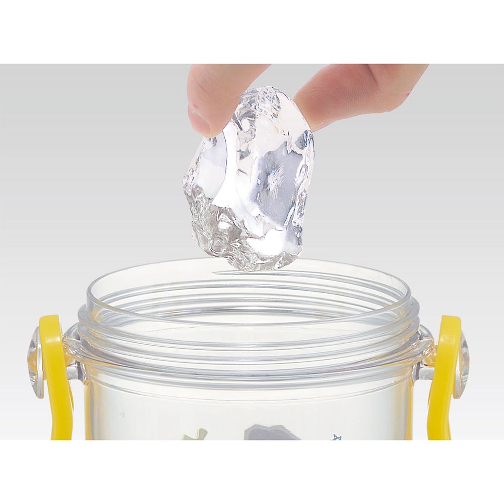 スケーター　食洗機対応プラクリアボトル  トイ・ストーリー２４／PSB5TR_660092