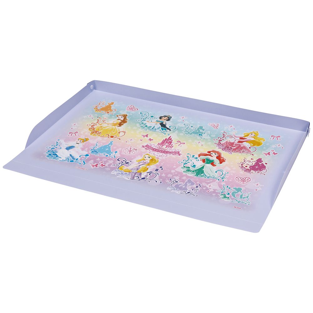 スケーター　リビング学習マット  プリンセス／ZGM1_660382