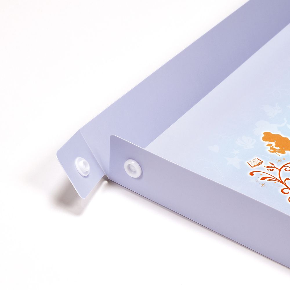 スケーター　リビング学習マット  プリンセス／ZGM1_660382