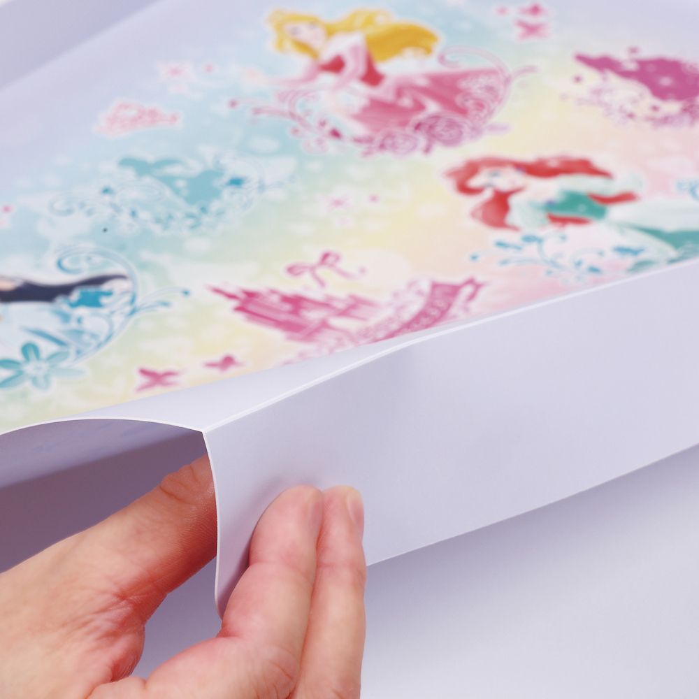 スケーター　リビング学習マット  プリンセス／ZGM1_660382