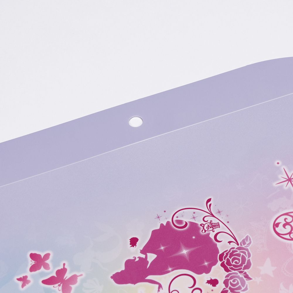 スケーター　リビング学習マット  プリンセス／ZGM1_660382