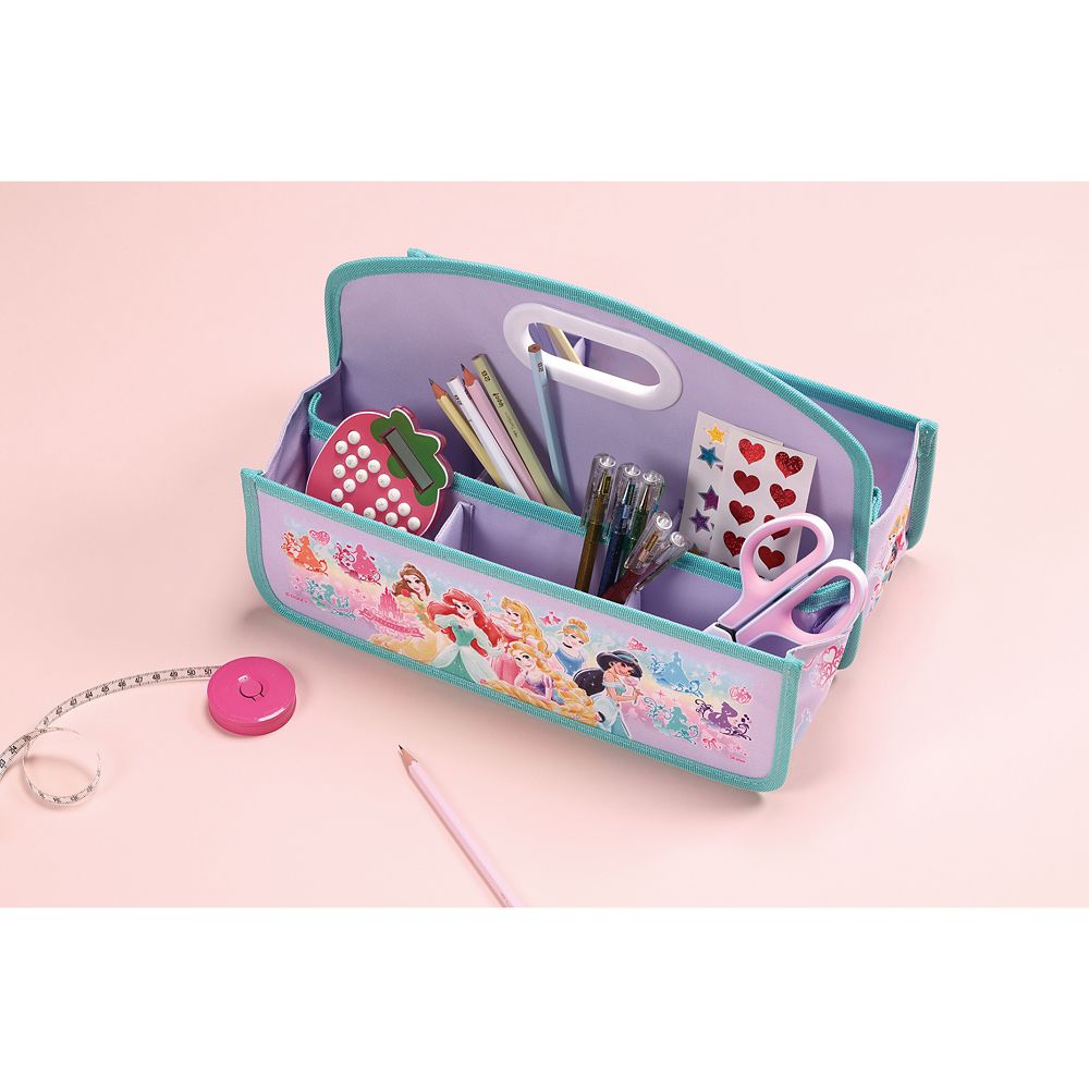 スケーター　どこでも収納ボックス  プリンセス／ZBX1_660412