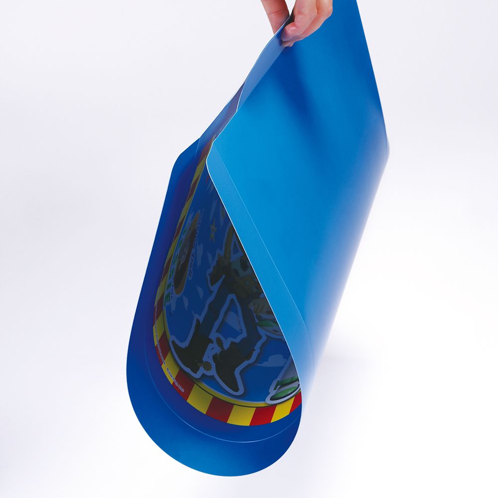 スケーター　リビング学習マット  トイストーリー／ZGM1_660436