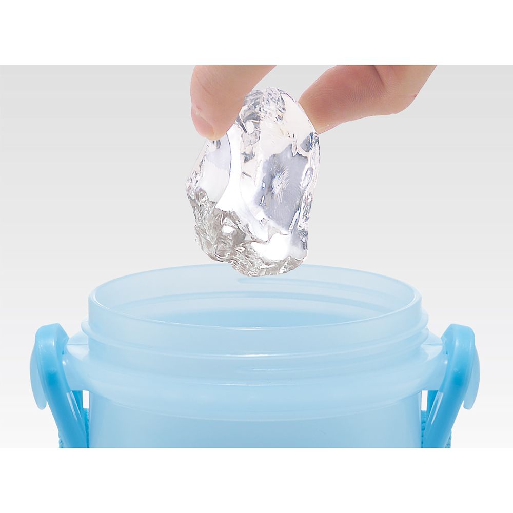 スケーター　抗菌直飲プラボトル  アナと雪の女王２４／PSB5SANAG_661242