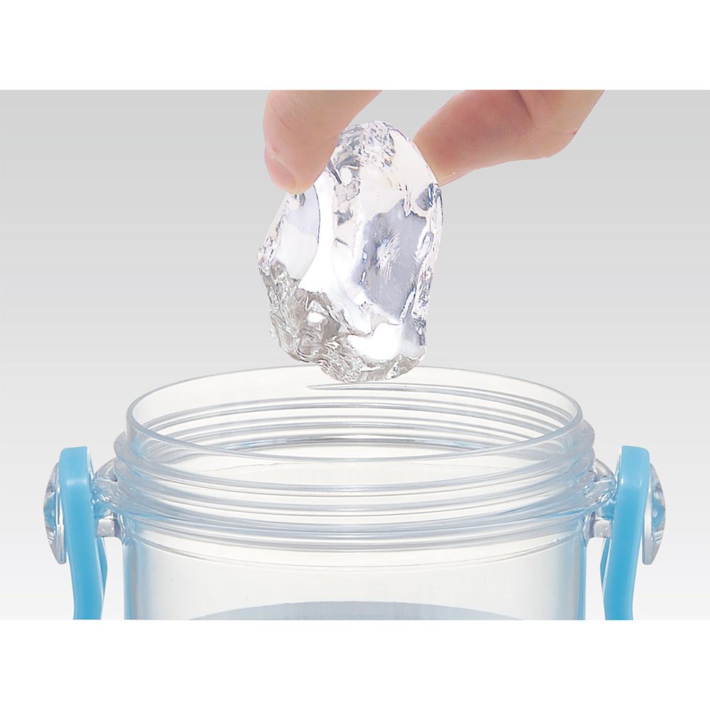 スケーター　食洗機対応プラクリアボトル  アナと雪の女王２４／PSB5TR_661259