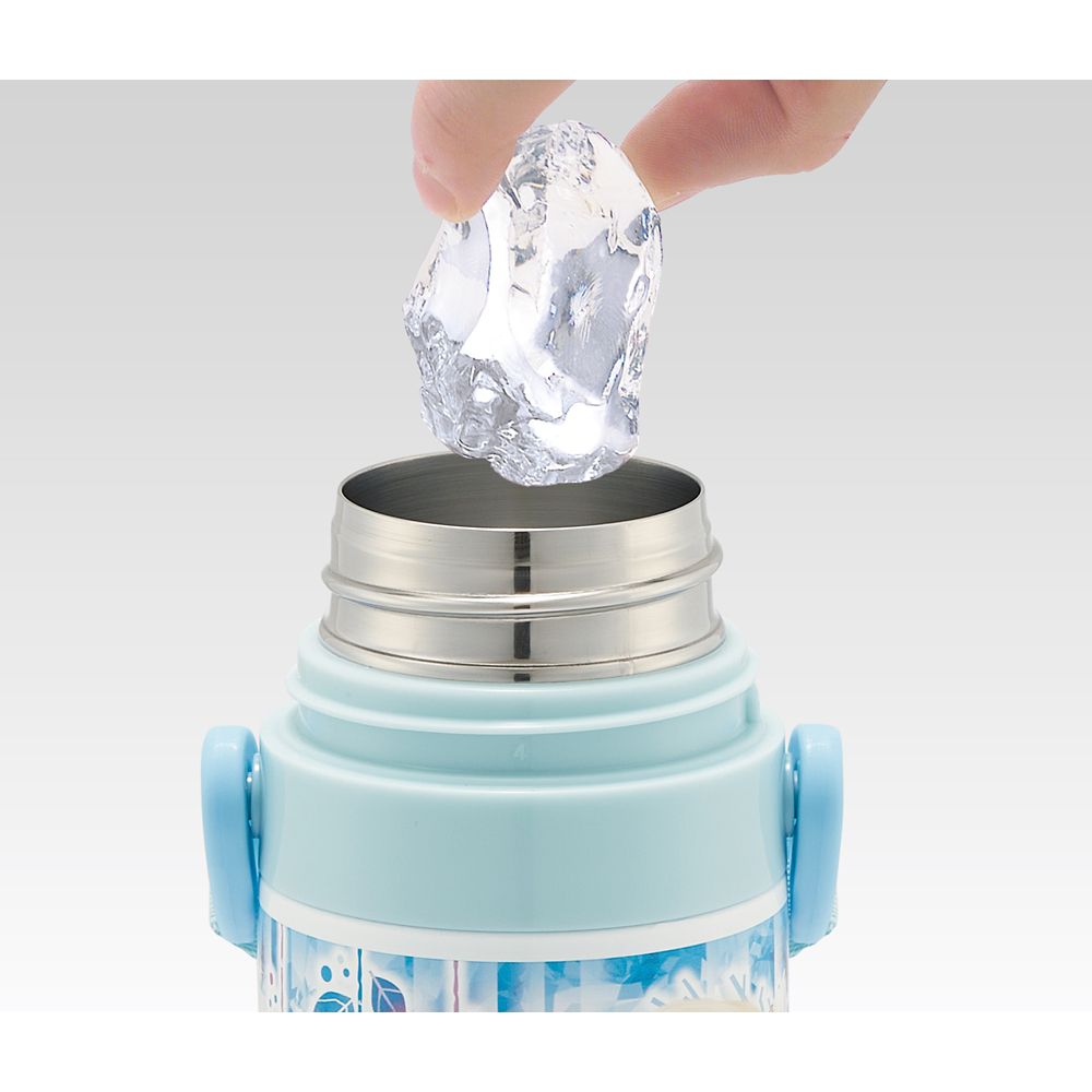 スケーター　超軽量２ＷＡＹステンレスボトル  アナと雪の女王２４／SKDC4_661273