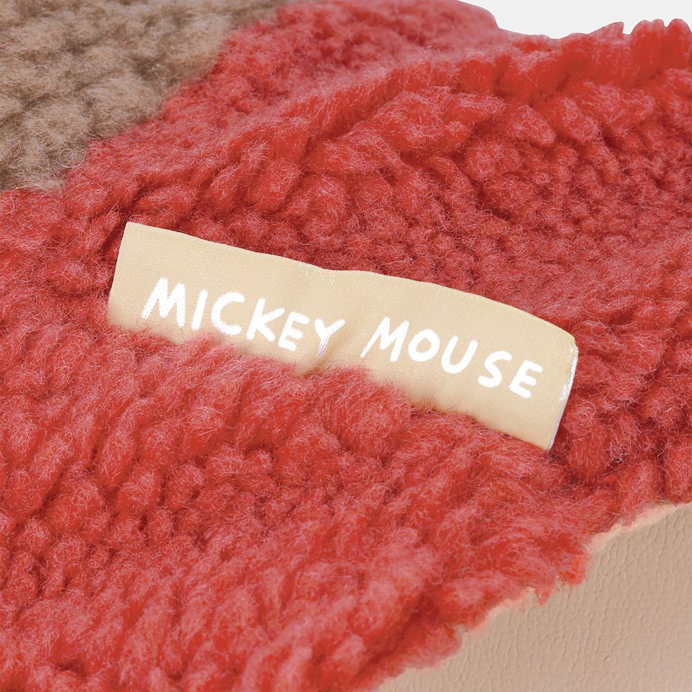 ペット用ボアタンクＭ（フード付）  ミッキーマウス／PTFB2_666575／スケーター