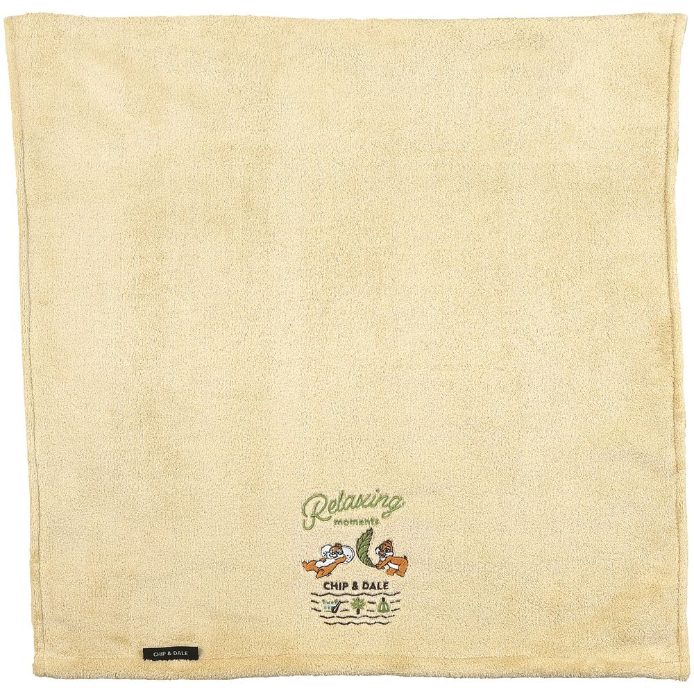 スケーター　バスタオル  チップ＆デール／BBT1_676949