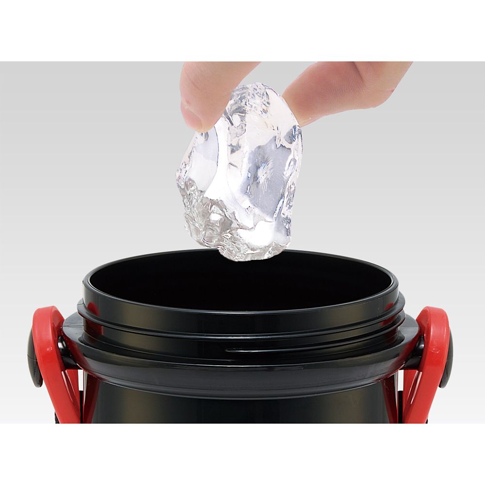 スケーター　抗菌直飲プラボトル  カーズ２５／PSB5SANAG_689192