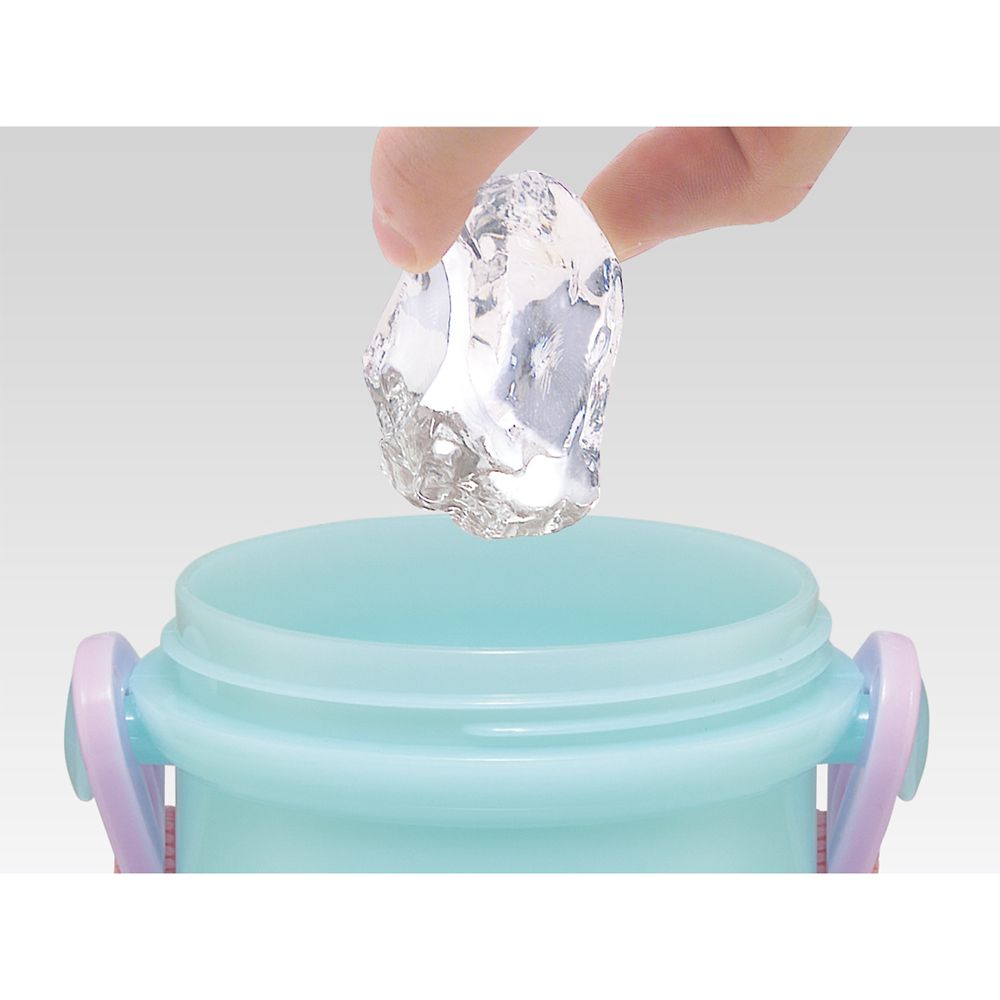 スケーター　抗菌直飲プラボトル  プリンセス２５／PSB5SANAG_690051