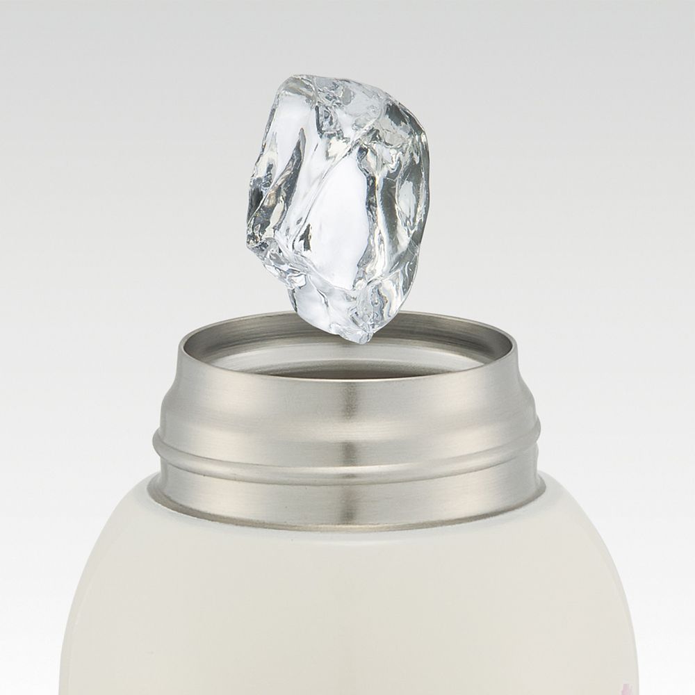 スケーター(Skater) 子供用 ステンレス 水筒 直飲み 600ml 子供に優しい軽量タイプ プリンセス 25 女の子 保冷専用 waterbottle スポーツボトル キッズ こども 水瓶 STCH6_69012