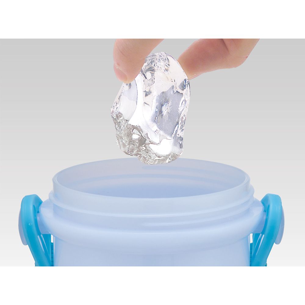 スケーター　抗菌直飲プラボトル  アナと雪の女王２５／PSB5SANAG_690273