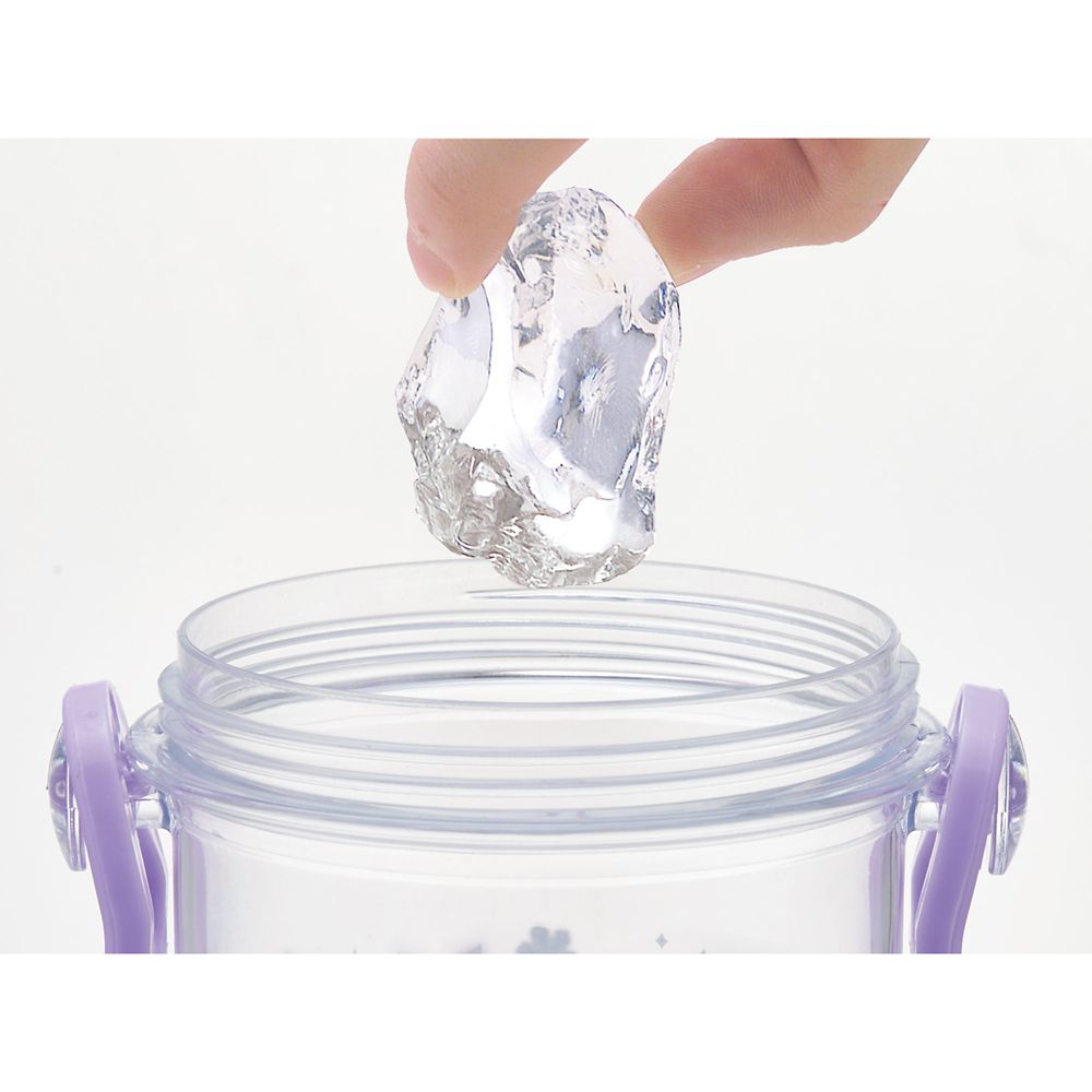 スケーター　食洗機対応プラクリアボトル  アナと雪の女王２５／PSB5TR_690280