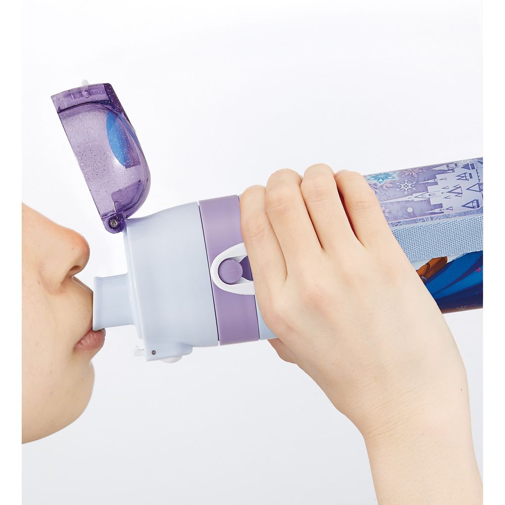 超軽量　直飲みコップ飲み兼用　２ＷＡＹステンレスボトル  アナと雪の女王２５／SKDC4_690358／スケーター