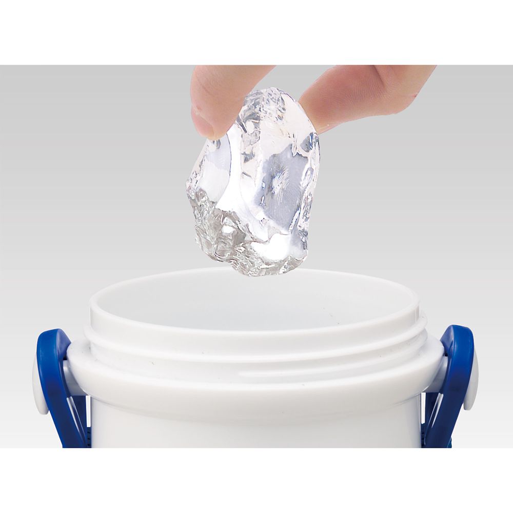 スケーター　抗菌直飲プラボトル  ドナルドダック／PSB5SANAG_697685