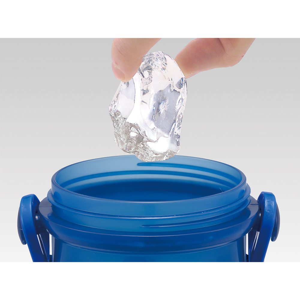 スケーター　抗菌直飲プラボトル  インサイド・ヘッド２／PSB5SANAG_701573