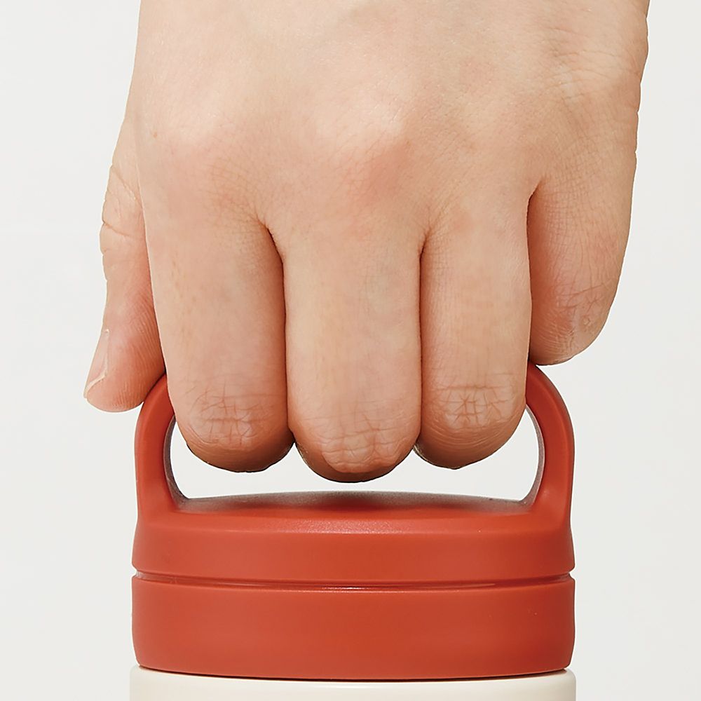 スケーター(Skater) 保温 保冷 ステンレス マグボトル 350ml スクリューハンドル付 ズートピア ワッペン STSC4-70942