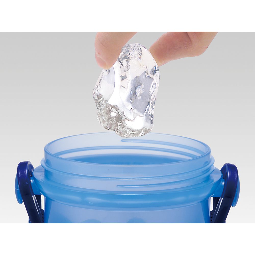 スケーター(Skater) 子供用 プラスチック 水筒 480ml ワンプッシュ開閉 抗菌 子供に優しい 軽量 抗菌加工 日本製 リロ＆スティッチ PSB5SANAG_71122