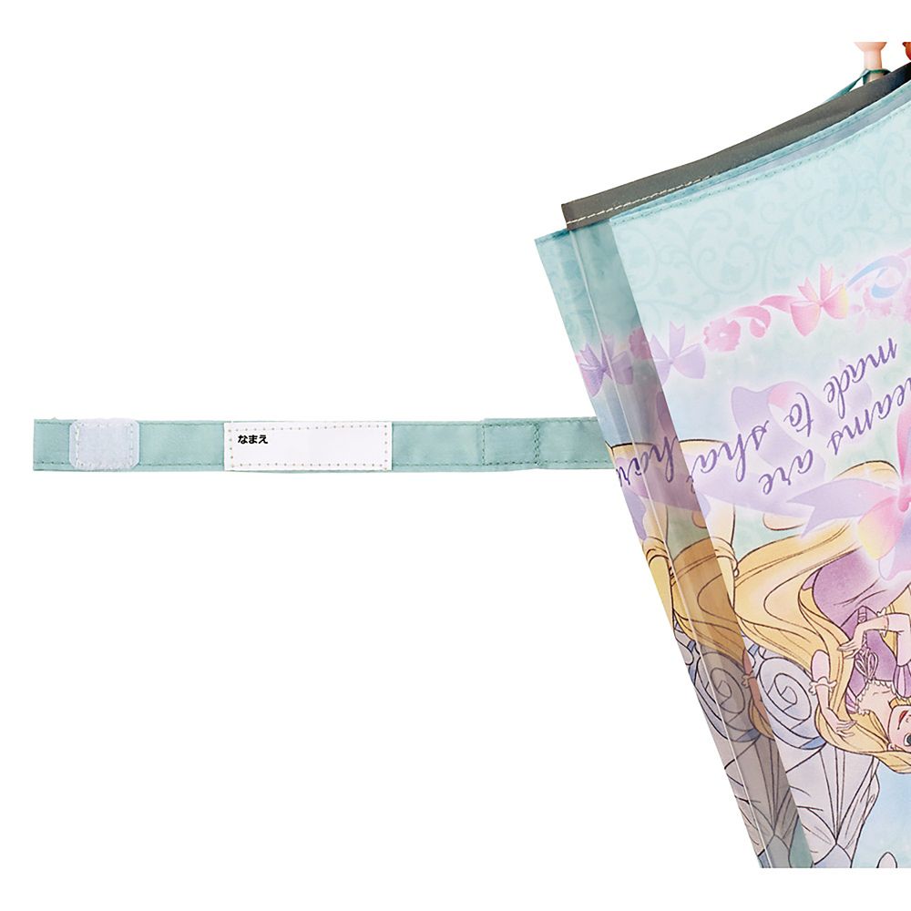 傘 子供用 40cm ディズニープリンセス 3 女の子 3~4才 95~105cm 視界が確保できる 透明窓付 指を挟みにくい 手開き式 8本骨 スケーター_UB40_71997