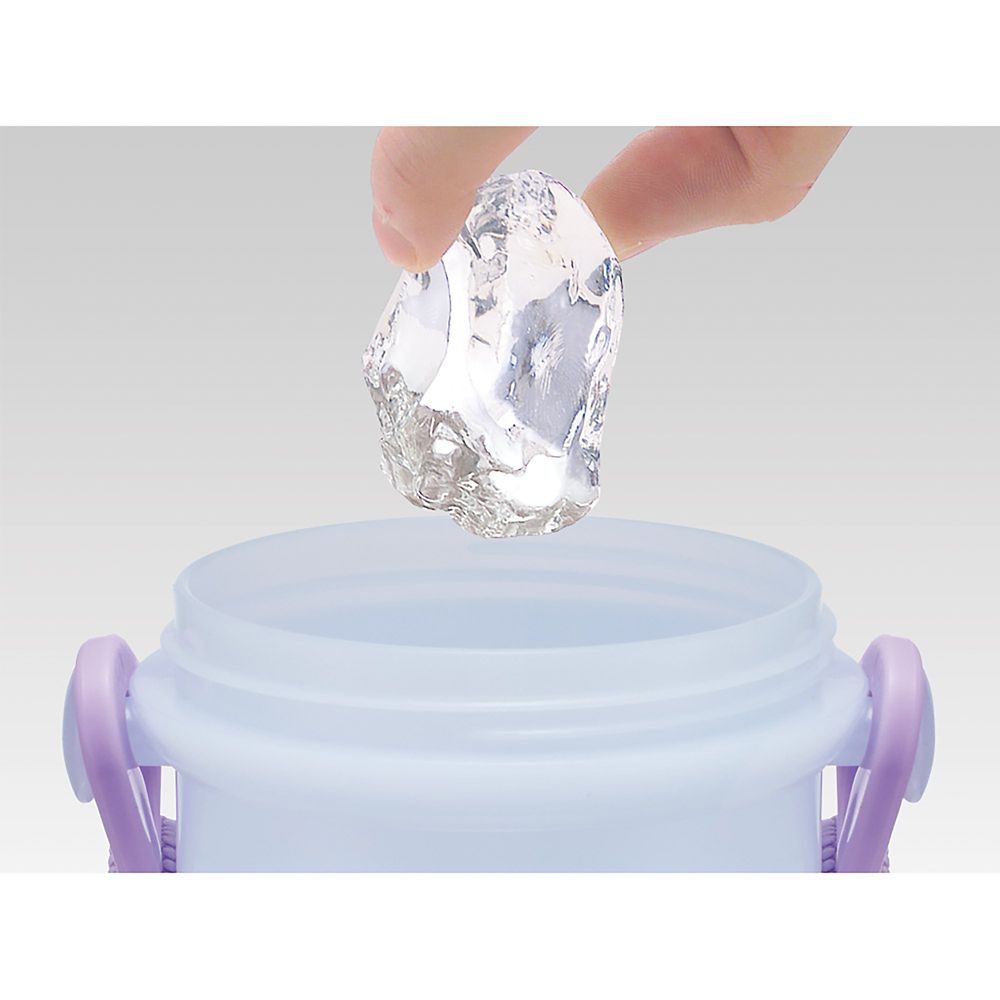 直飲み 水筒 プラスチック 480ml 子供用 ワンプッシュ開閉 食洗機対応 日本製 アナと雪の女王 26 女の子 スケーター PSB5SAN_72155