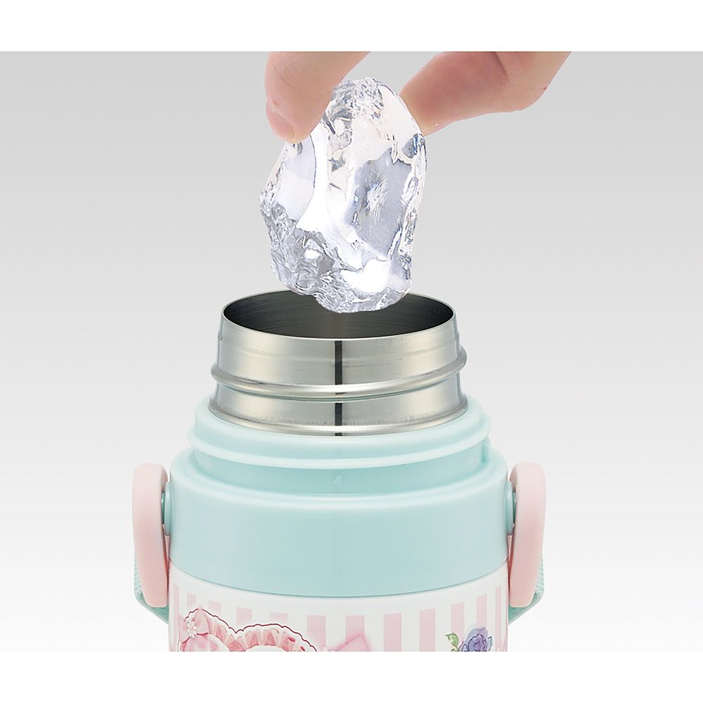 水筒 子供用 直飲み 470ml 保冷専用 ステンレス 軽量タイプ waterbottle スポーツボトル キッズ こども 水瓶 ディズニープリンセス 26 女の子 スケーター SDC4_72182