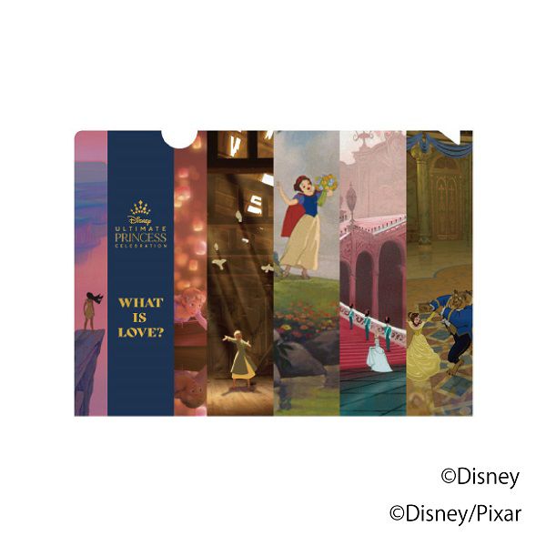 公式 ショップディズニー ２ポケットミラーファイルa5横 プリンセス