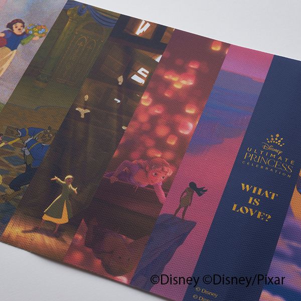 公式 ショップディズニー ブックカバー プリンセス