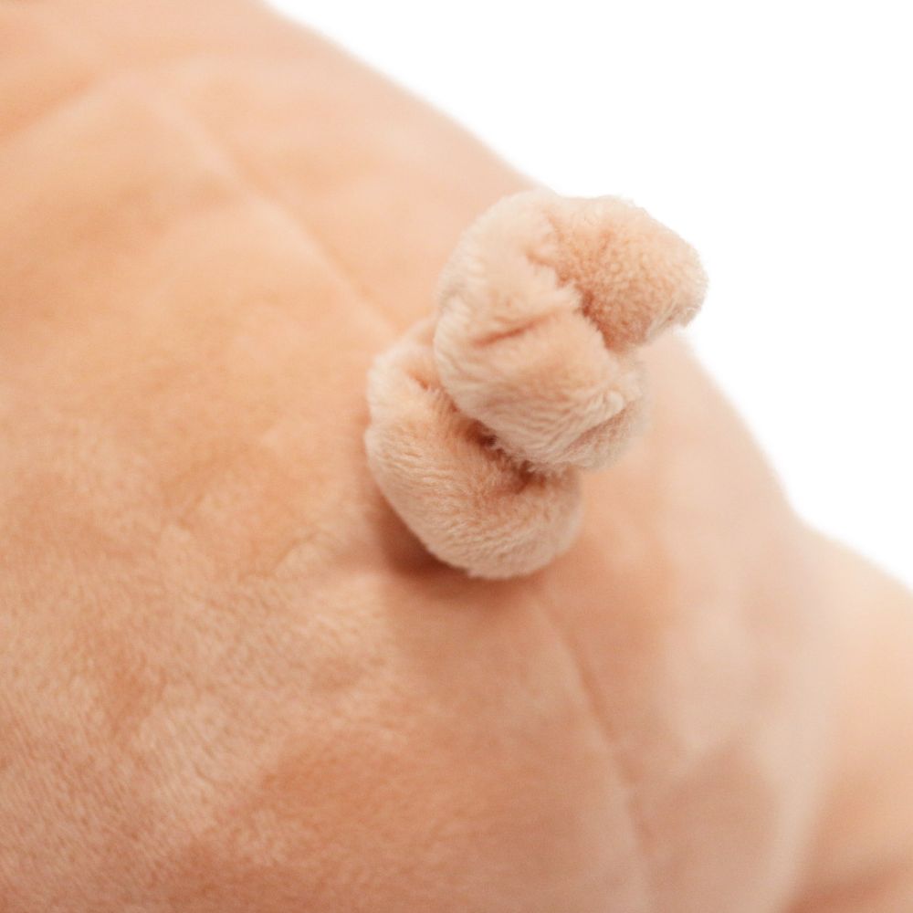 トイ・ストーリー ハム ダイカットクッション スリープコイン