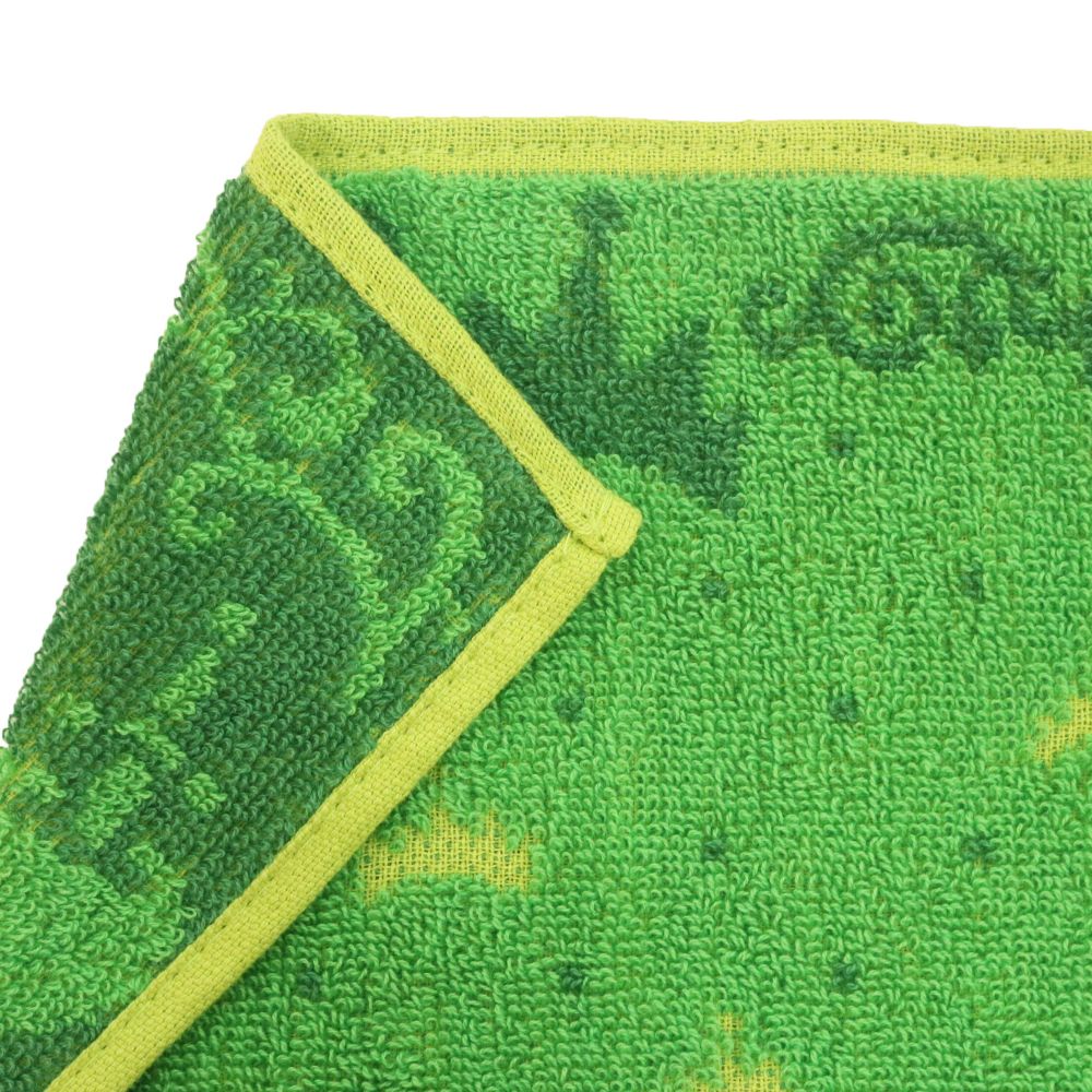 ディズニーヴィランズ ミニタオル ダーク/クイーン