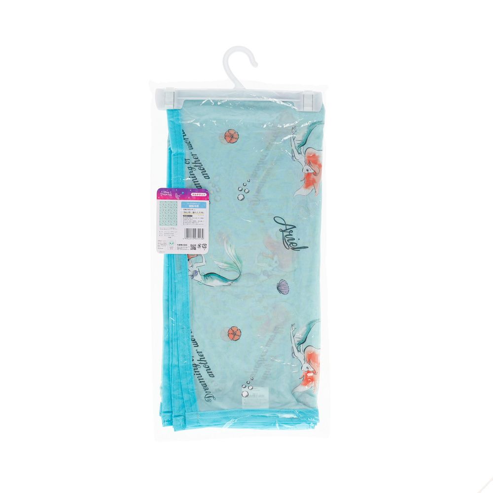 リトルマーメイド マルチケット ドリーミングワールド