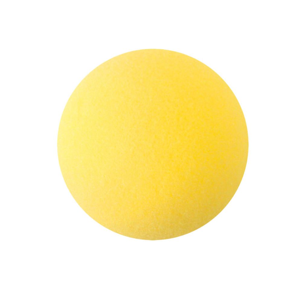 公式 ショップディズニー Disney Collection ウッディバスケットボールインザバス