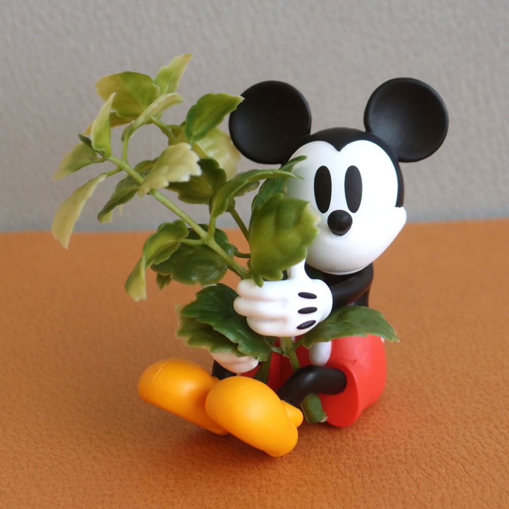 Disney Collection/ハブラシホルダー ミッキー