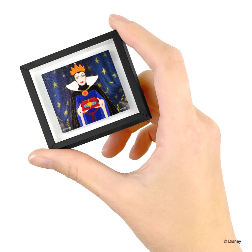 ディズニー フレームマグネット ウ゛ィランズ/１２PCSアソート