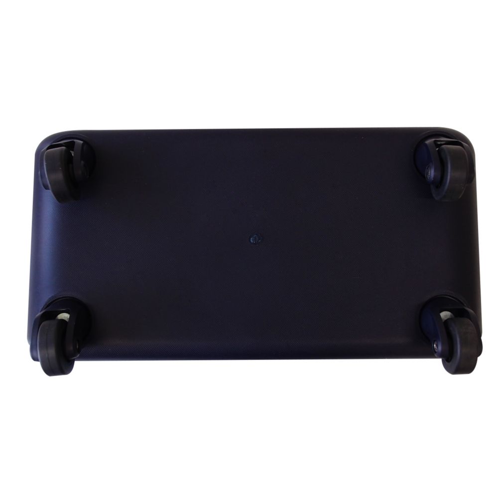 Pixar Collection/キャリーバッグ エイリアン