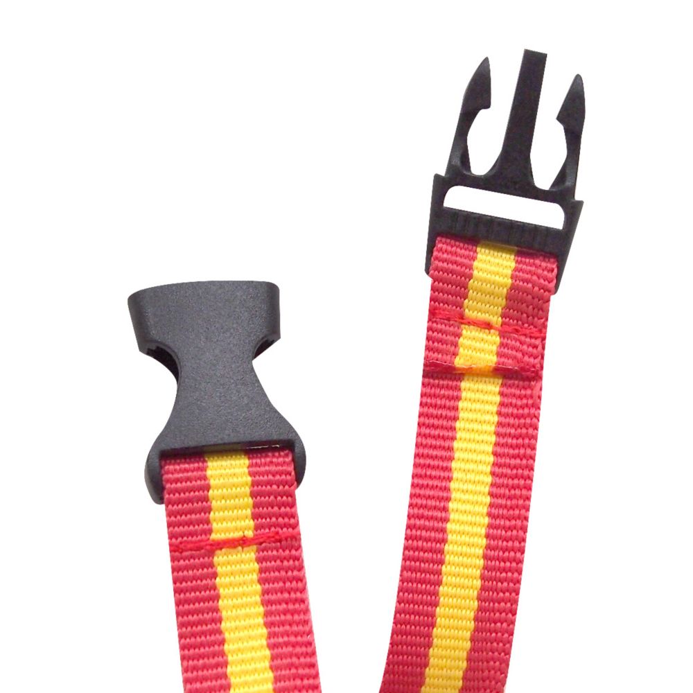 Disney Collection/パスケース【ティガー】