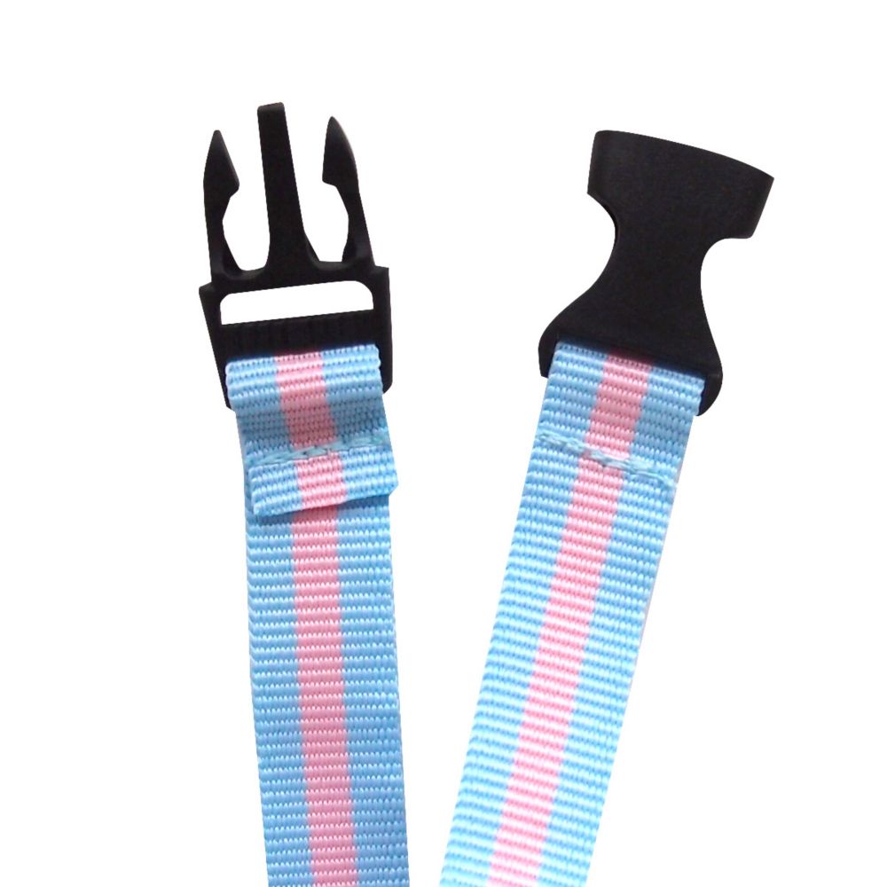 Disney Collection/パスケース 【チェシャ猫】 ごろ寝