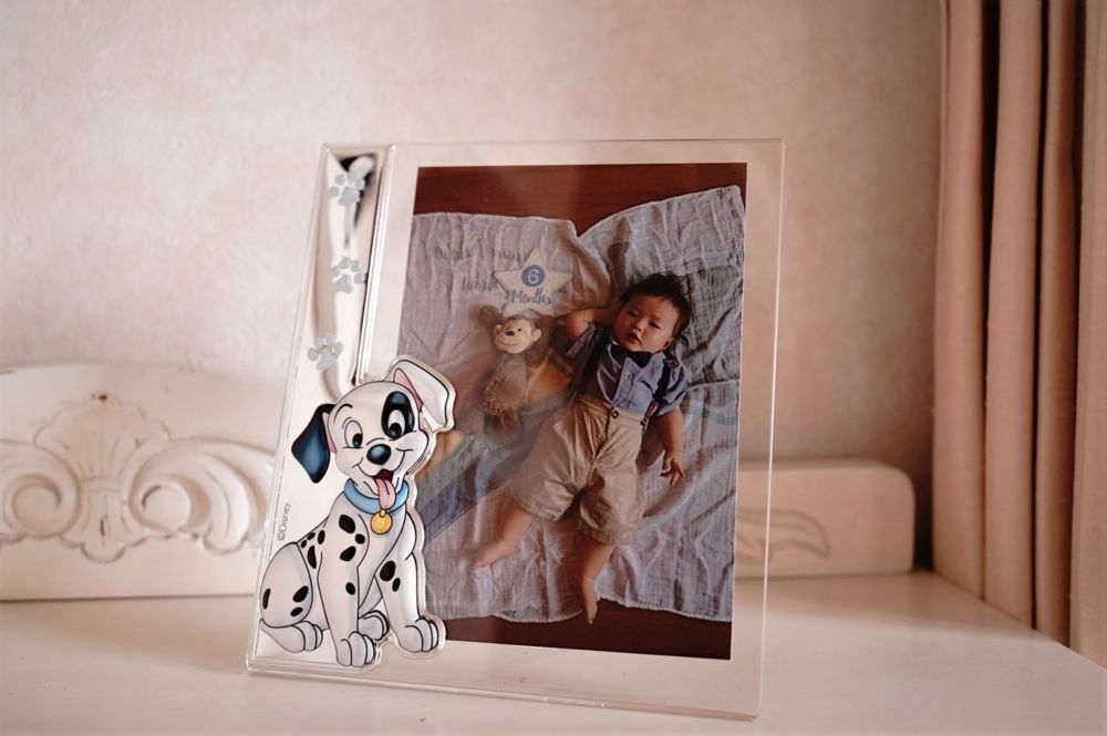 【イタリア直輸入】VALENTI　プレキシガラスフォトフレーム　シルバー加工　101匹わんちゃん（A）D274　4XC　15x20cm　2L判