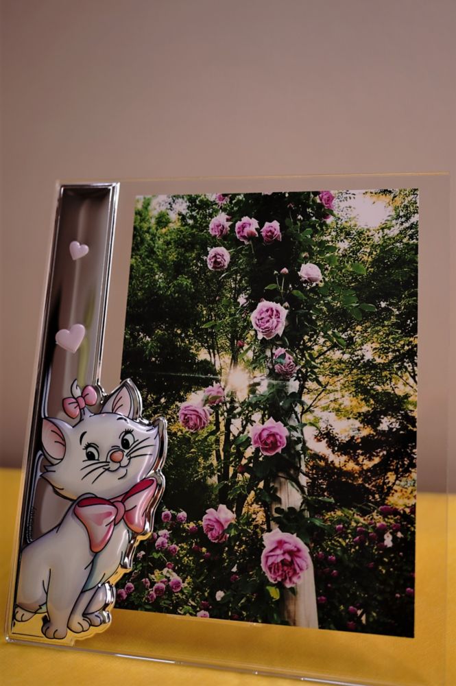 【イタリア直輸入】VALENTI　プレキシガラスフォトフレーム　シルバー加工　マリー（A）D277　4XRA　15x20cm　2L判