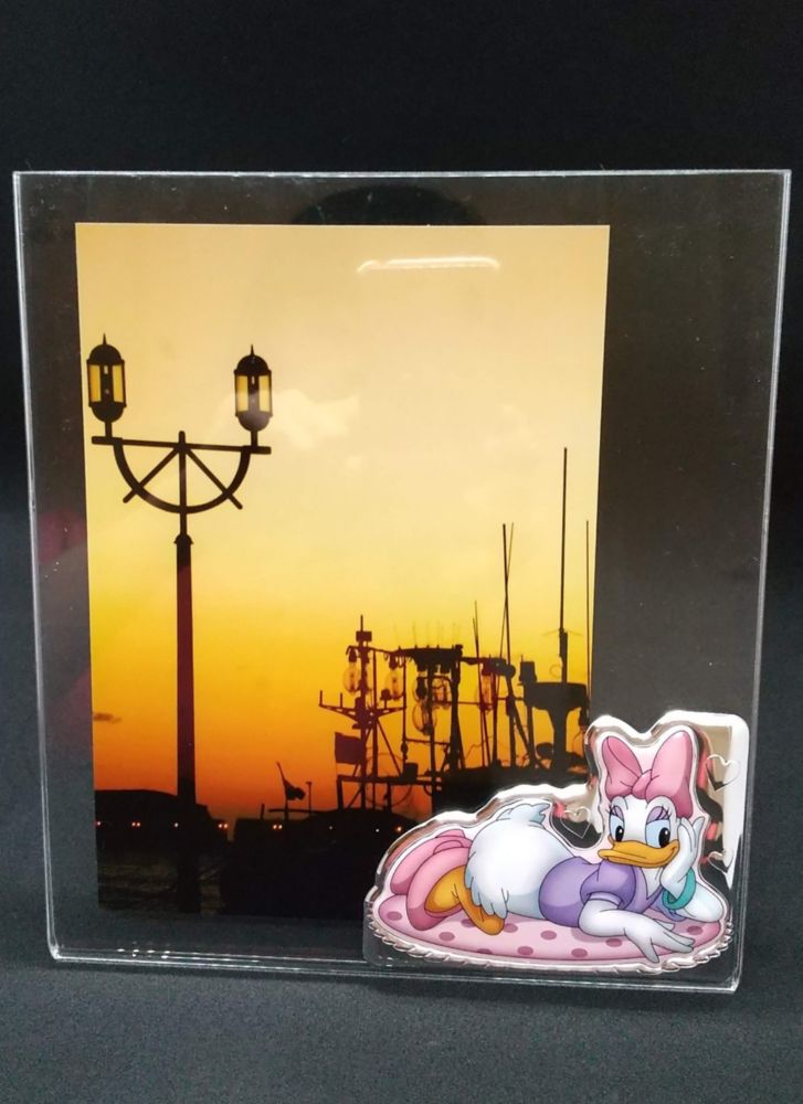 【イタリア直輸入】VALENTI　プレキシガラスフォトフレーム　シルバー加工　デイジーダック（B）D323　4XRA　15x20cm　2L判