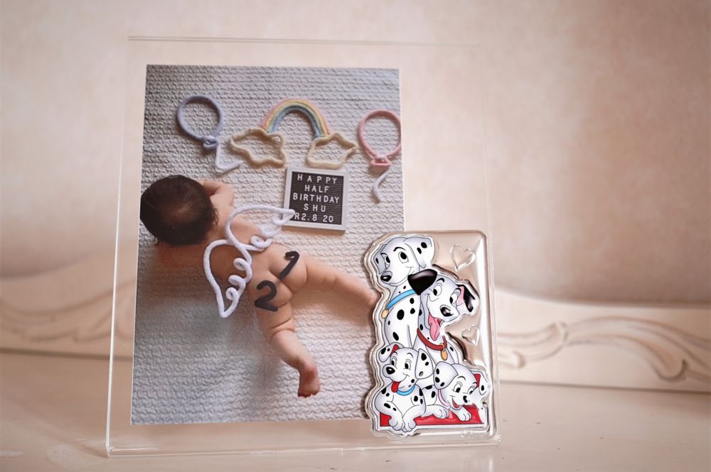 【イタリア直輸入】VALENTI　プレキシガラスフォトフレーム　シルバー加工　101匹わんちゃん（B）ピンク　D324　4XRA　15x20cm　2L判