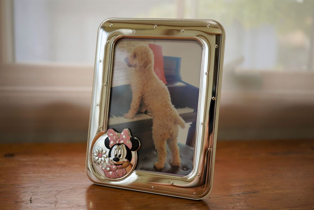 【イタリア直輸入】VALENTI　フォトフレーム 　シルバー加工　ミニーマウス（メダル）　D155 3LRA　9x13cm　L判