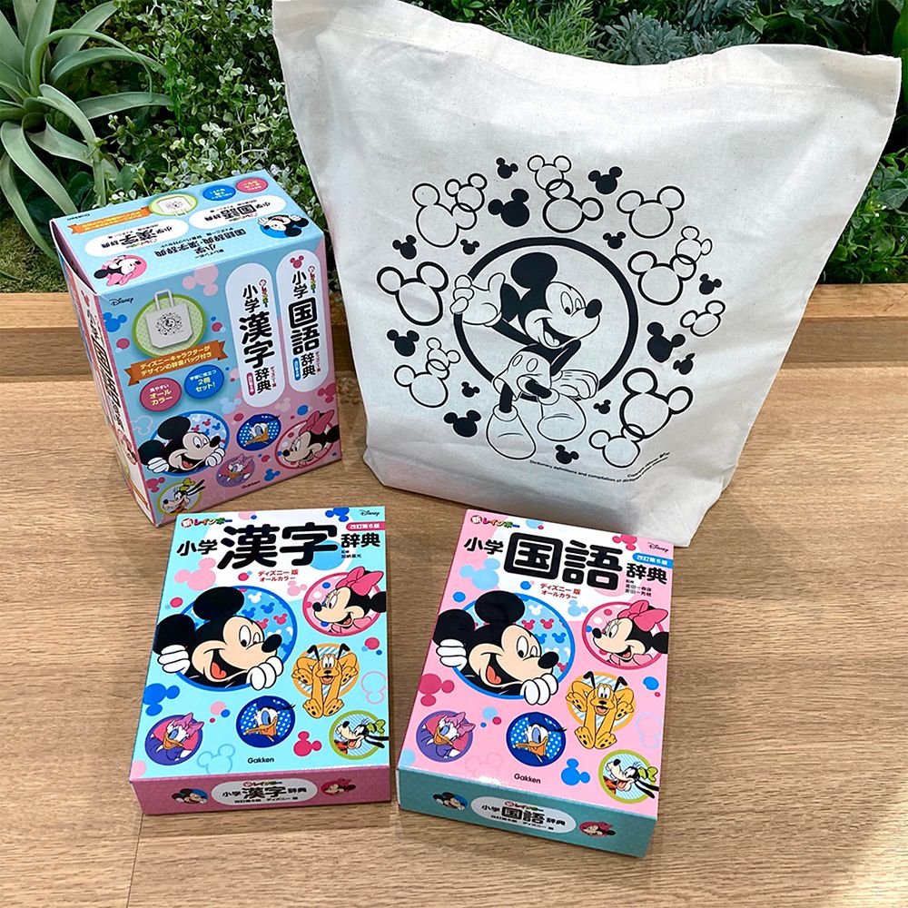 新レインボー小学国語辞典・漢字辞典　ディズニー版　辞書バッグ付セット