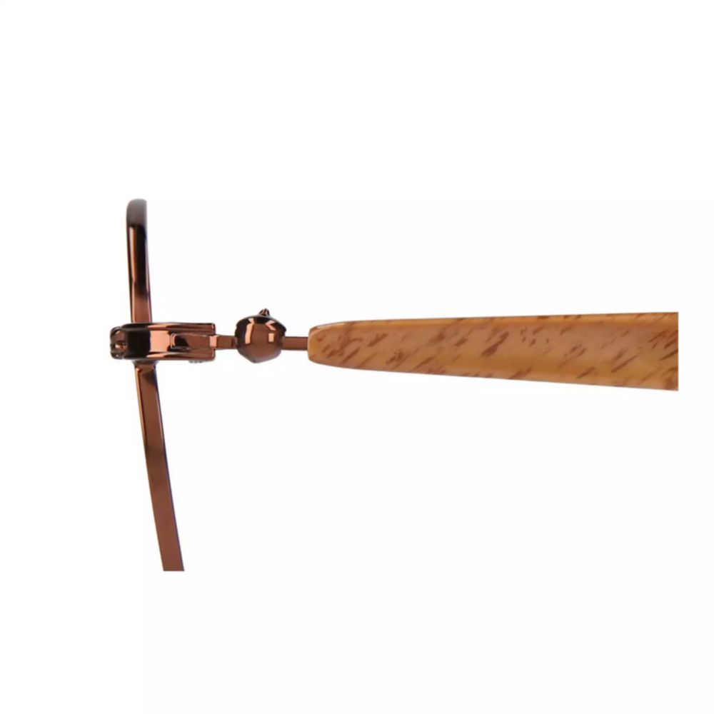 Zoff Disney ドナルド&チップとデール ボストン型メガネ フリーサイズ ZY232014