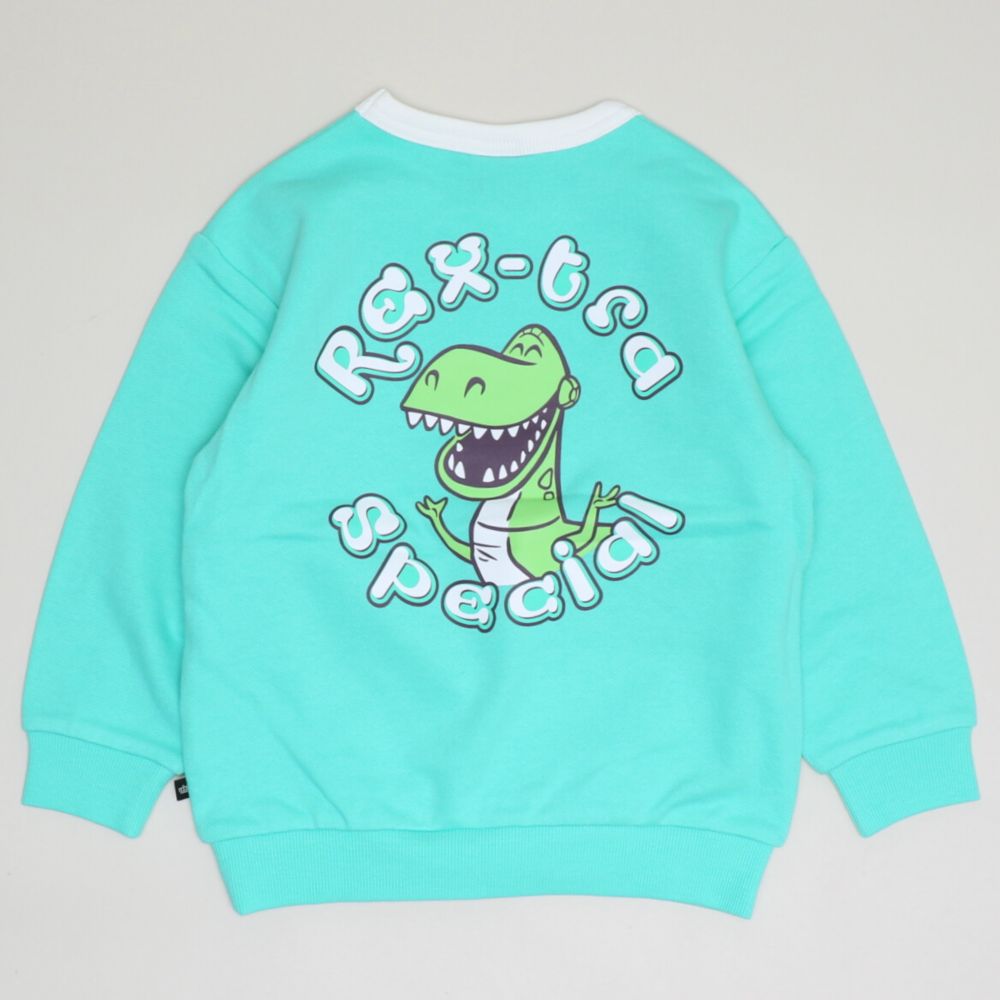 【ベビードール】トイストーリー キャラクター集合トレーナー 1273K / ベビーサイズ キッズ トップス 長袖 トレーナー スウェット バイカラー プルオーバー カラフル