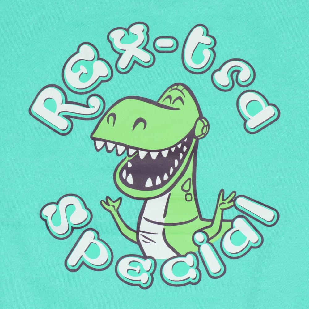 【ベビードール】トイストーリー キャラクター集合トレーナー 1273K / ベビーサイズ キッズ トップス 長袖 トレーナー スウェット バイカラー プルオーバー カラフル