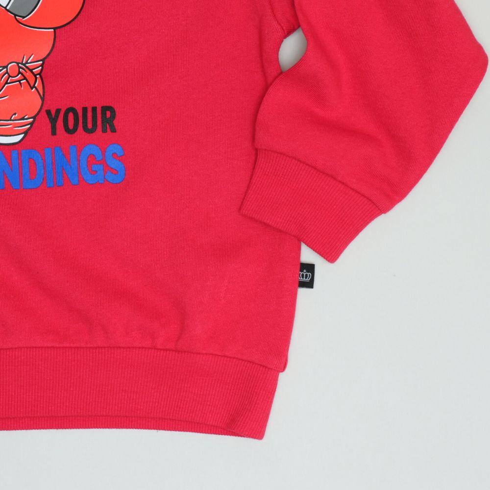 【ベビードール】ベイマックス キャラクタートレーナー 1604K / ベビーサイズ キッズ トップス 長袖 トレーナー クルーネック 忍者