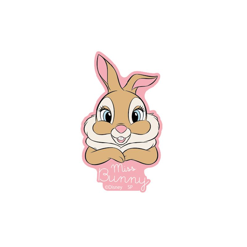 ディズニー キャラクターステッカー D2