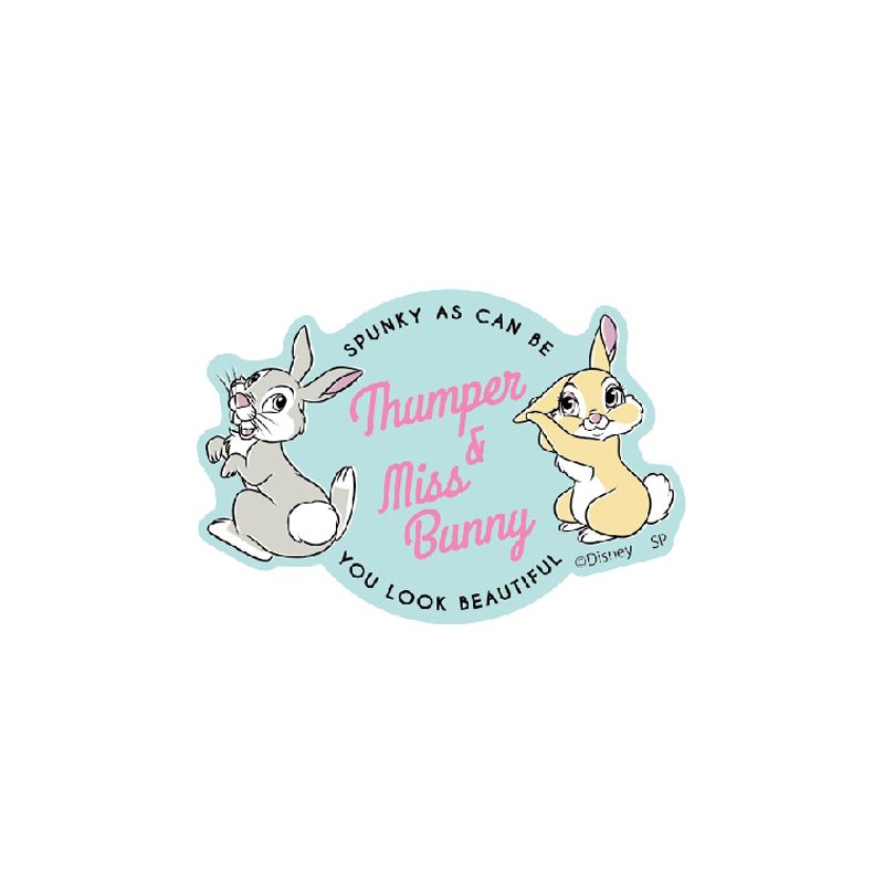 ディズニー キャラクターステッカー D2